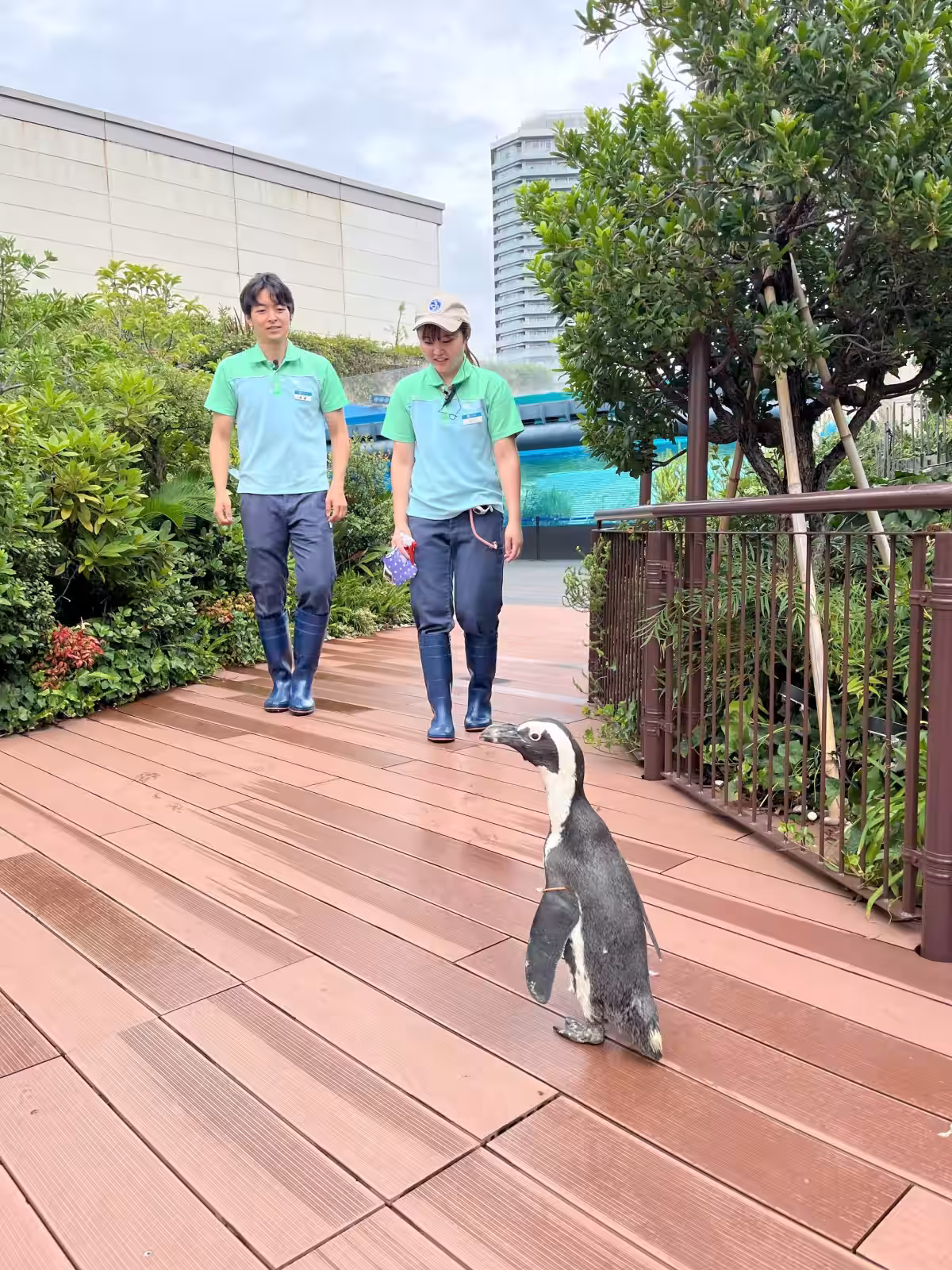 画像8