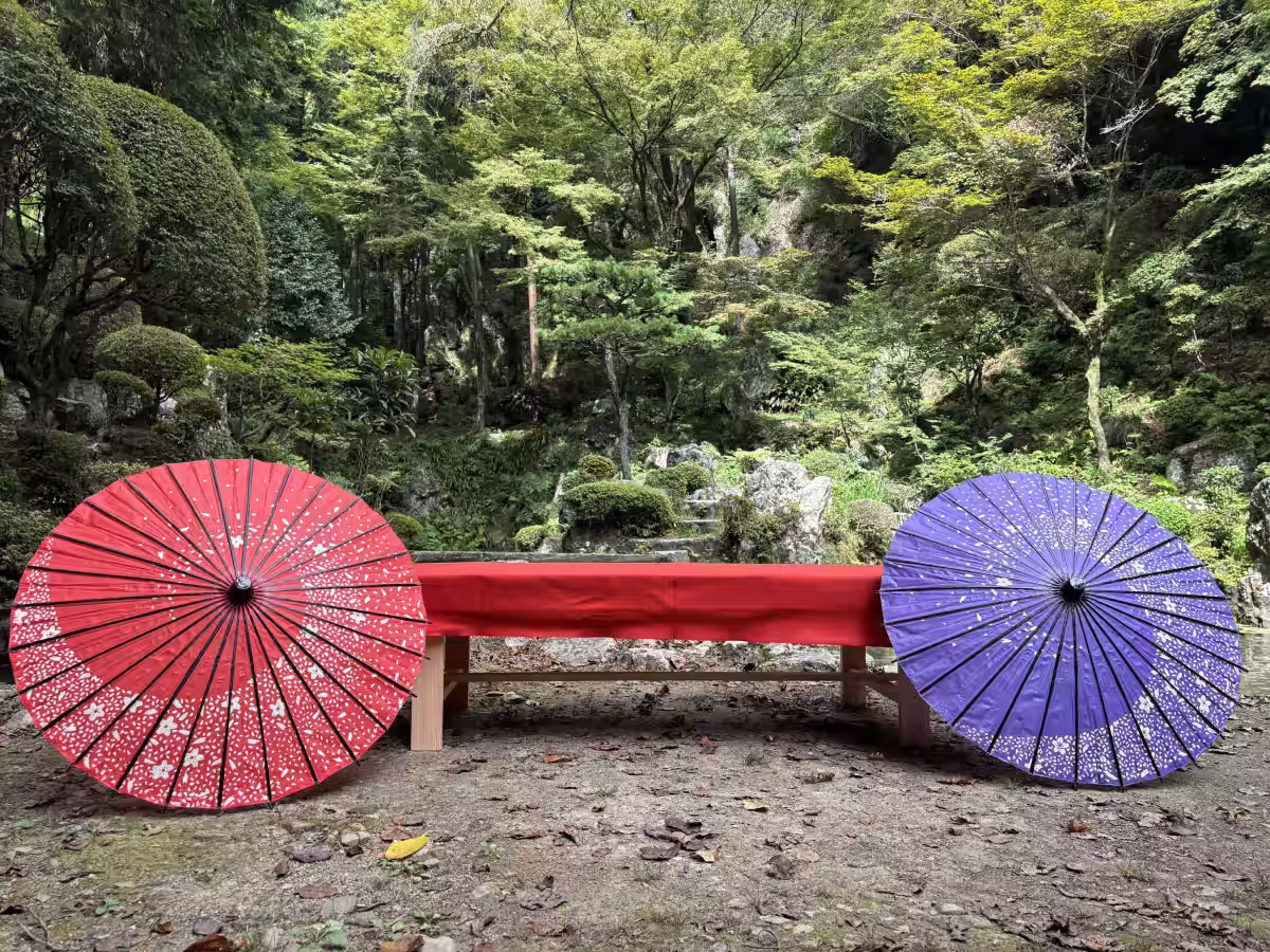 画像4