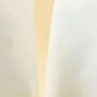 カミエコが受賞