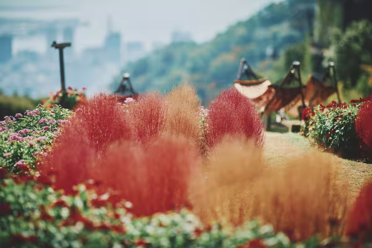 画像8