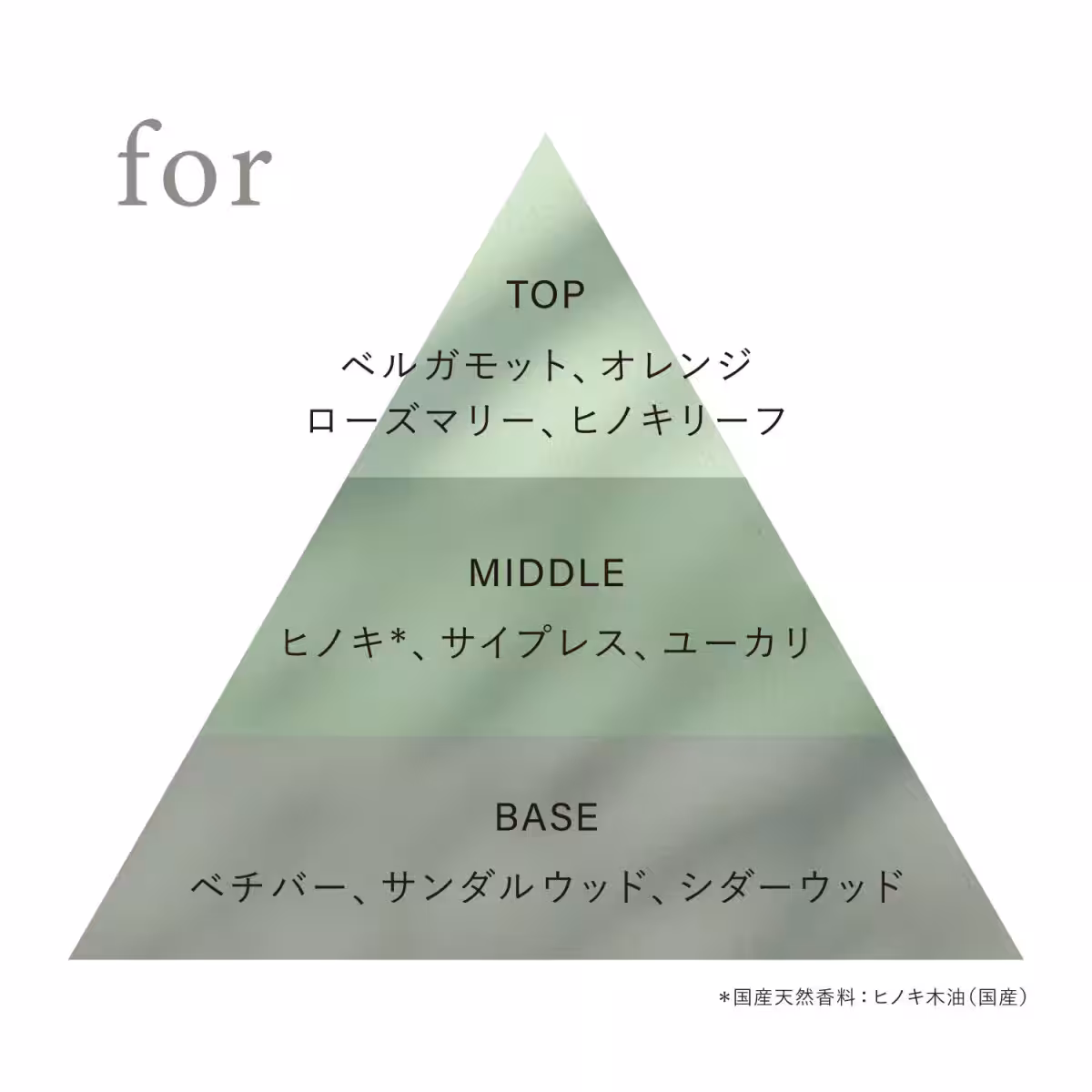 画像12