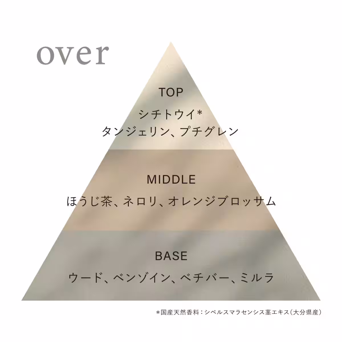 画像13