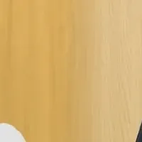 「サポカレ」新コンテンツ