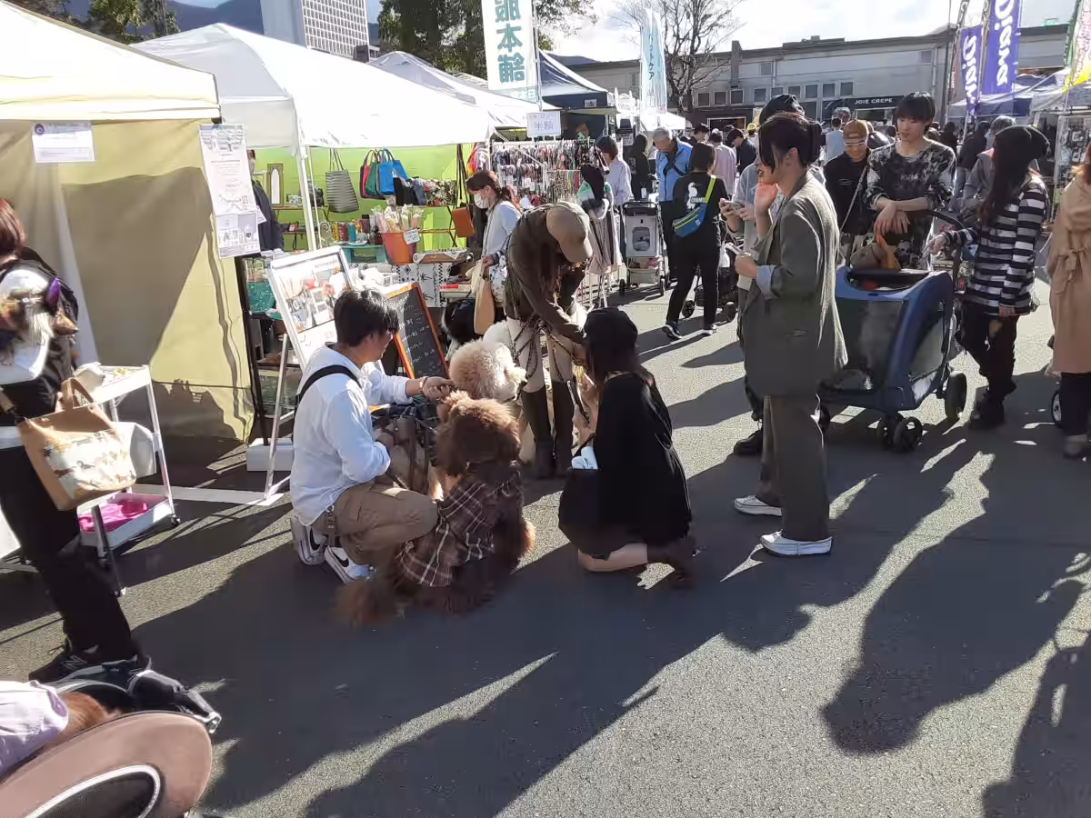 画像8