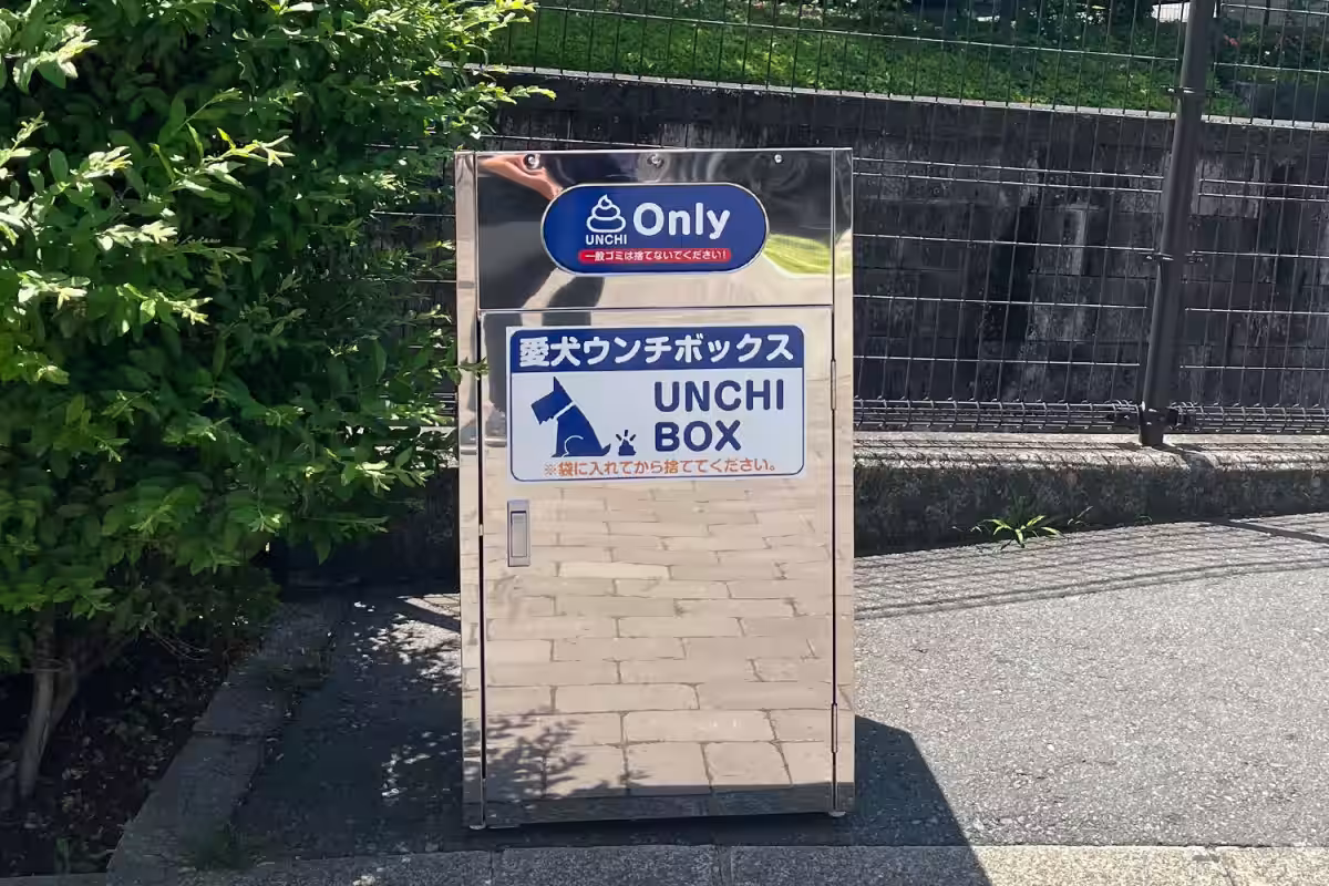 画像6