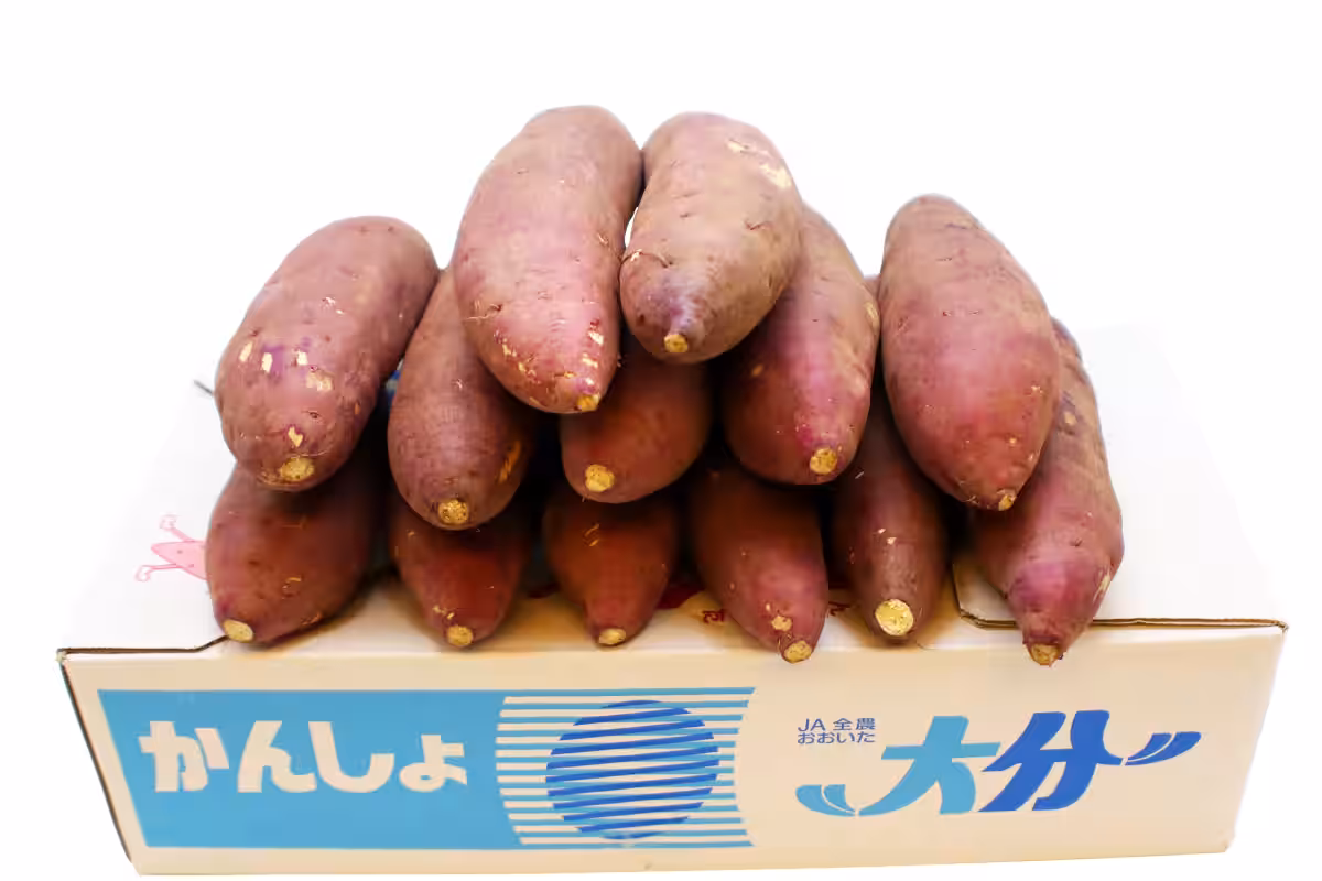 画像7
