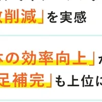 業務アウトソーシング調査