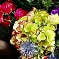 新感覚フラワーラウンジ