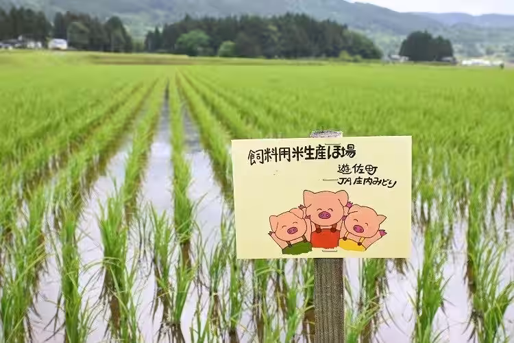 画像5