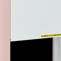 エコムシュウの新型登場