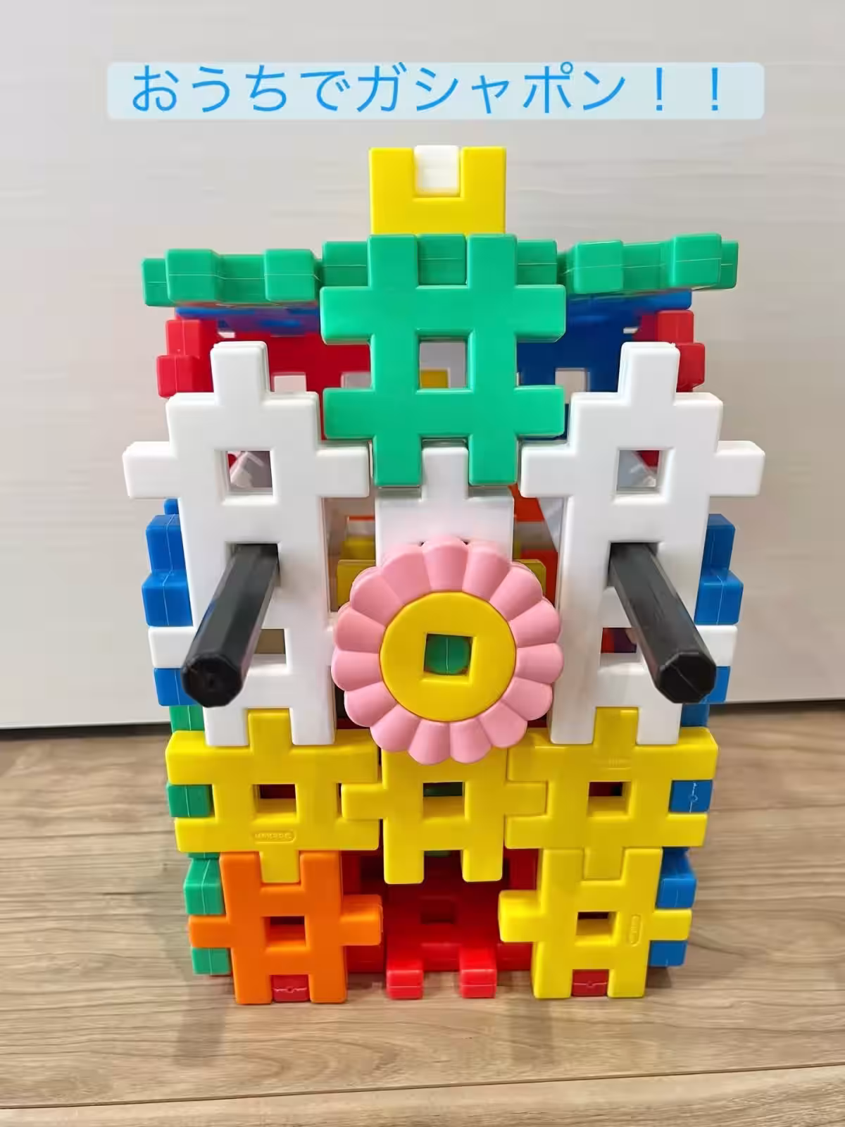画像7