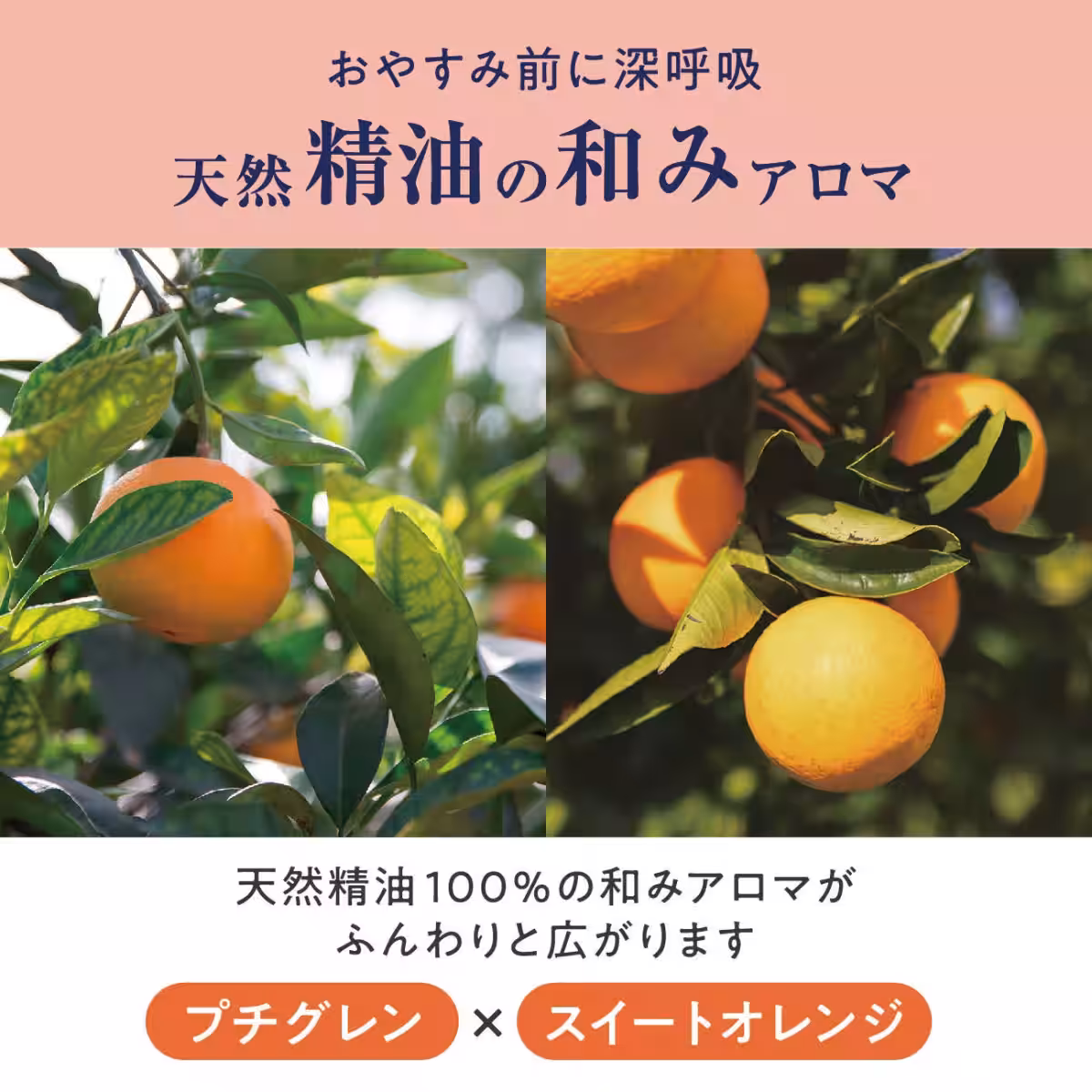 画像18