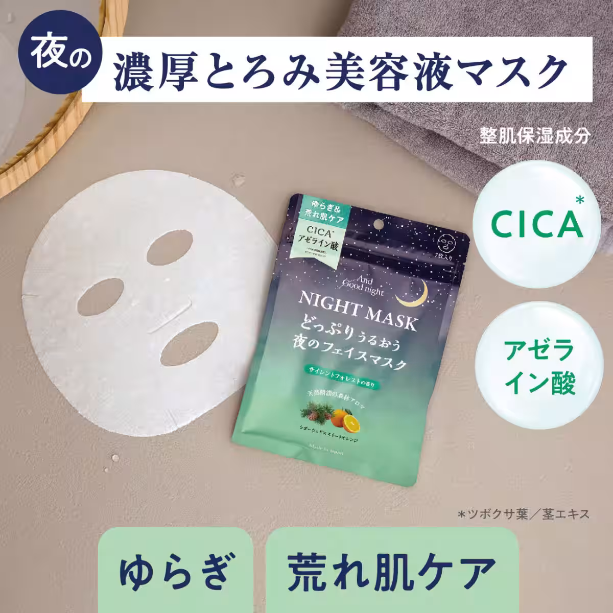 画像15