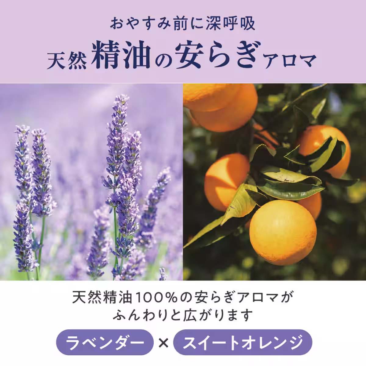 画像17