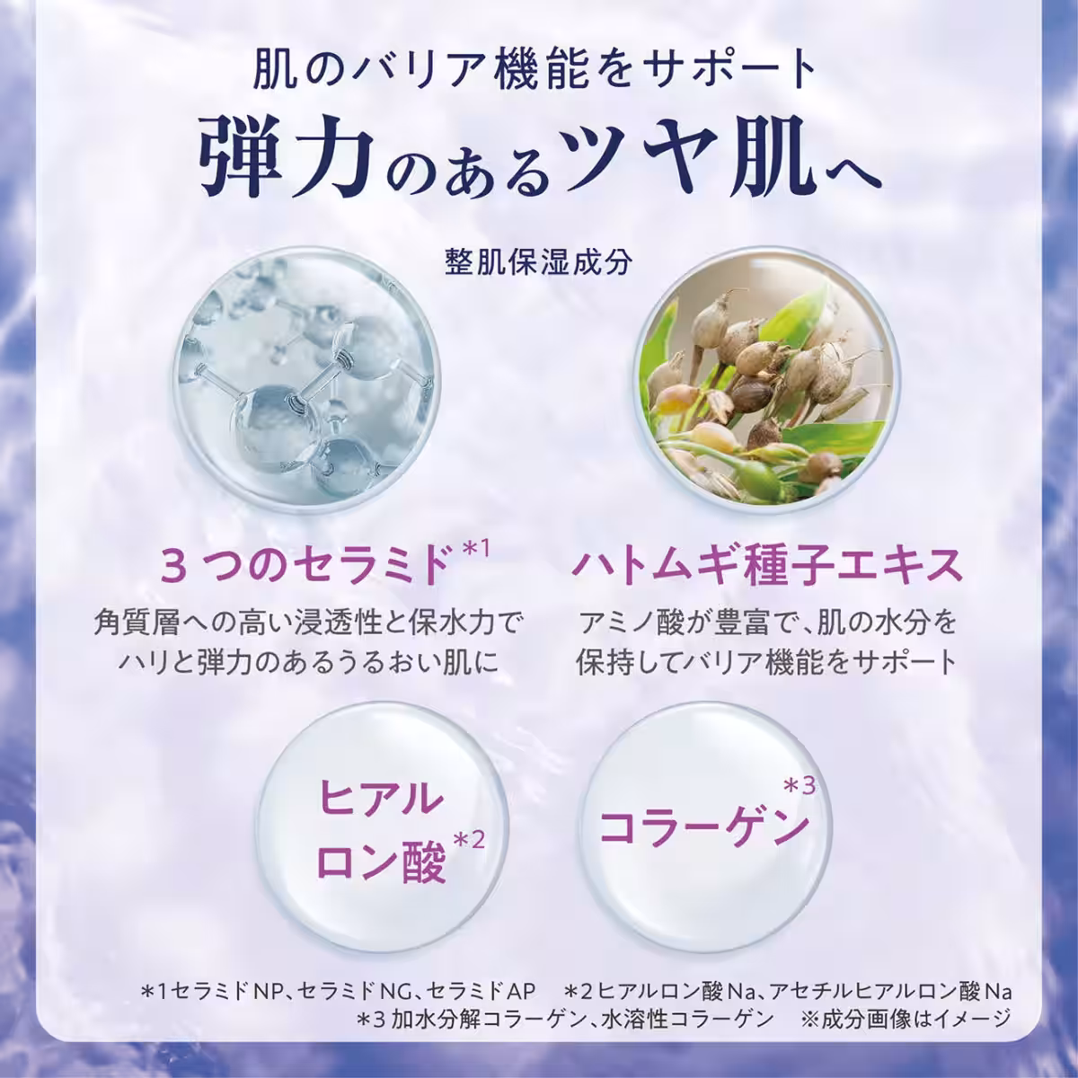 画像20