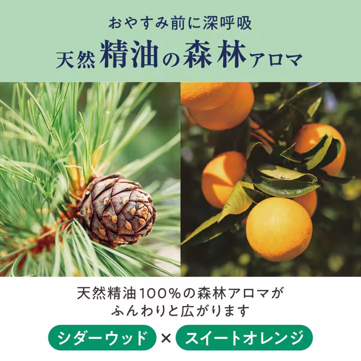 画像19