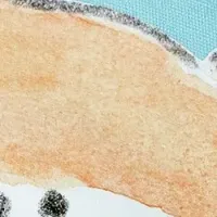 ラッコのだっこちゃん