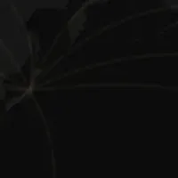 ｍｏｖが拠点設立