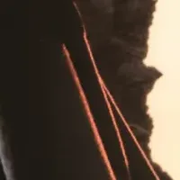 AJ DUANとパルコの広告