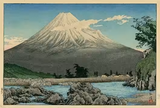 画像5