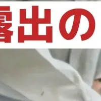 メディア露出の影響