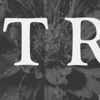 METREA設立の意義