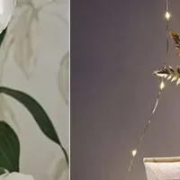 ホリデーコレクション