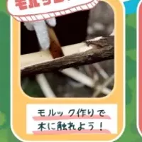 大谷の食堂と木材
