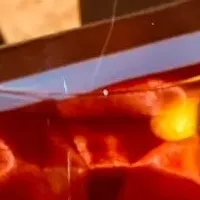 ウイスキーを楽しむ