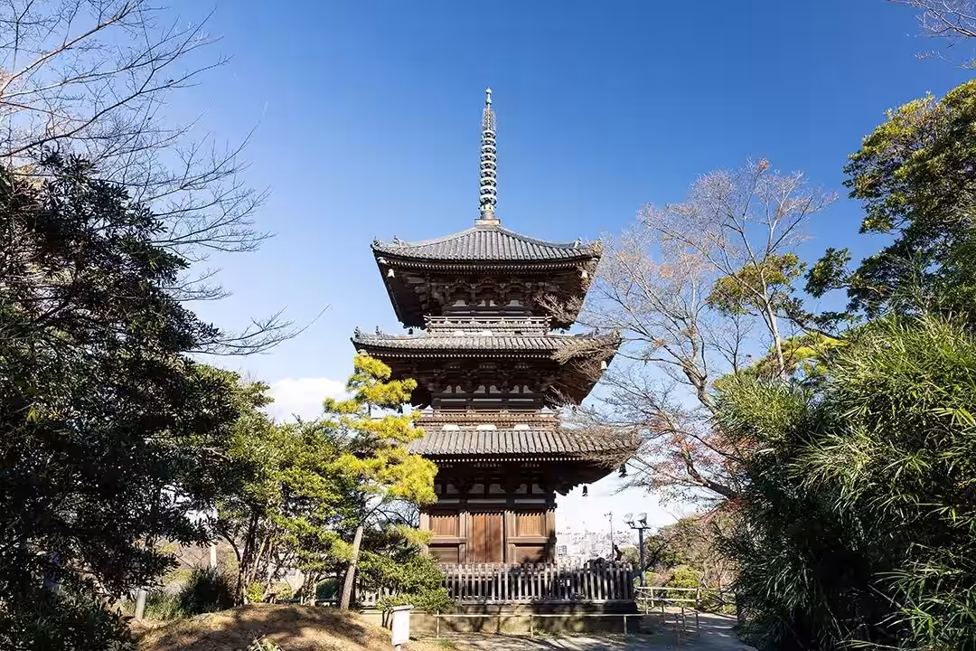 画像6