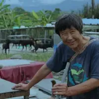 アニコムの動物支援