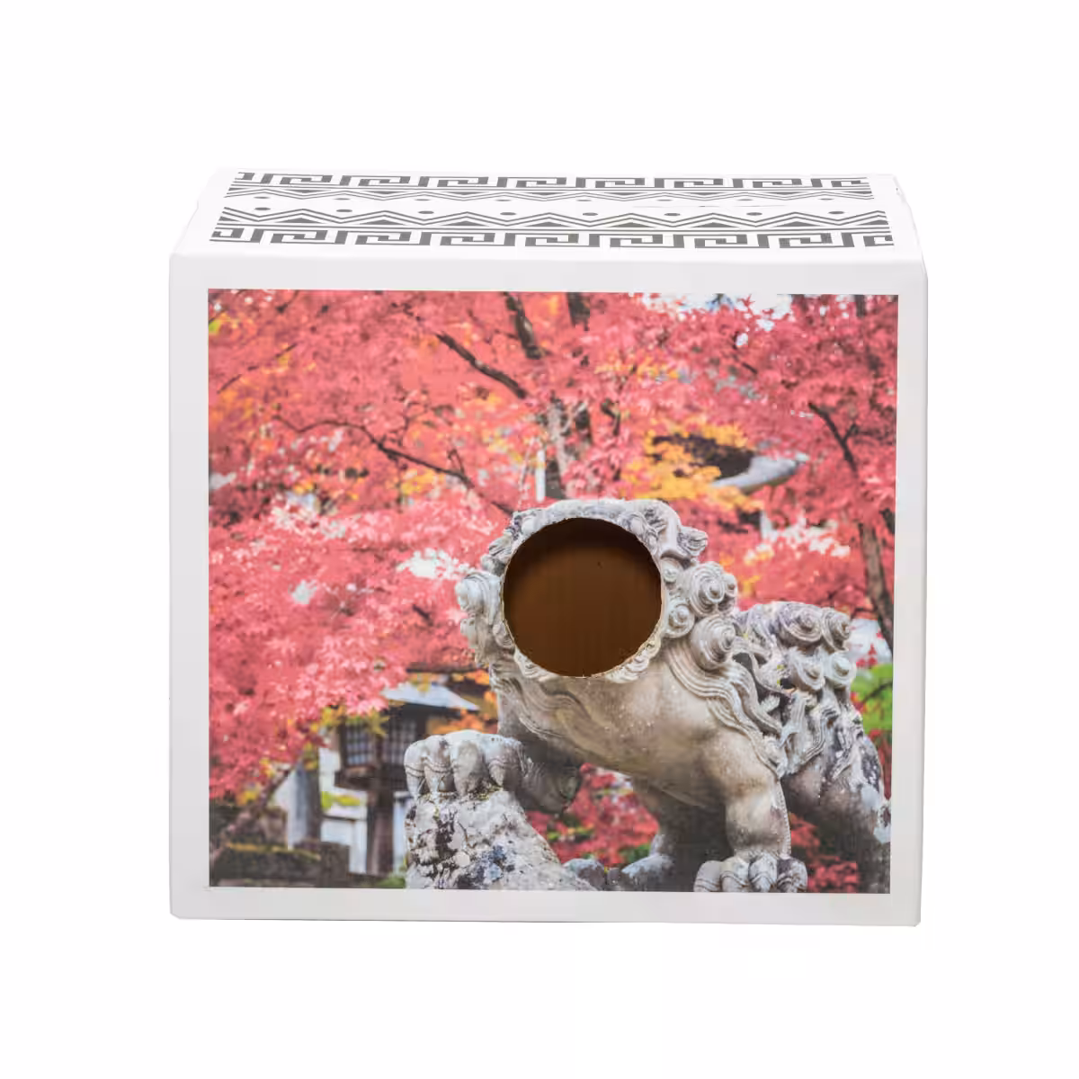 画像20