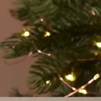 EVOLVEホリデーボックス