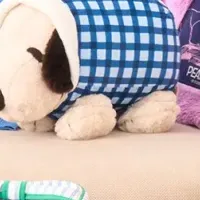 PEANUTSプロモ開催