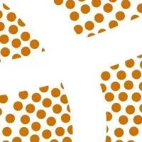 群馬クレインサンダーズ