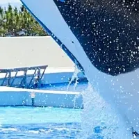 海の生きもの博士になれる！