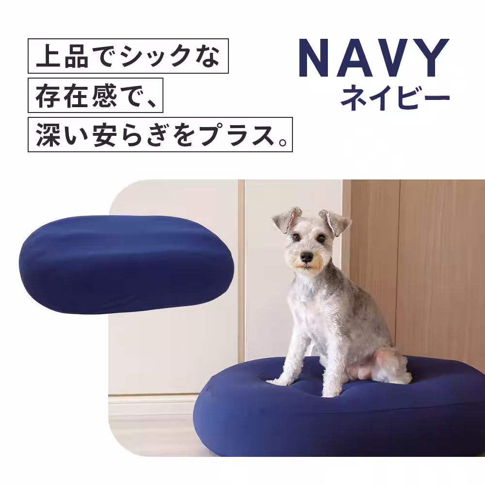 画像14