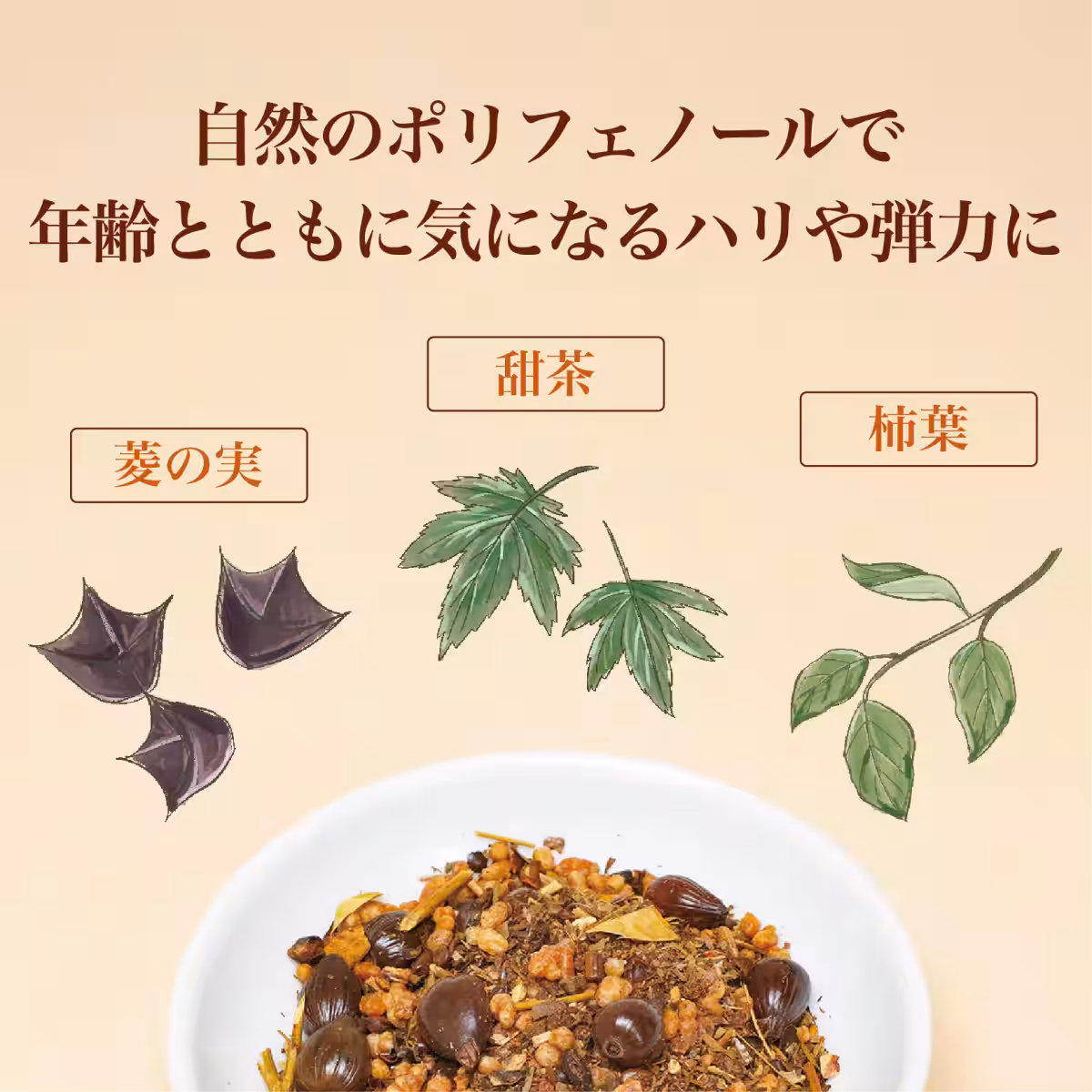 画像11