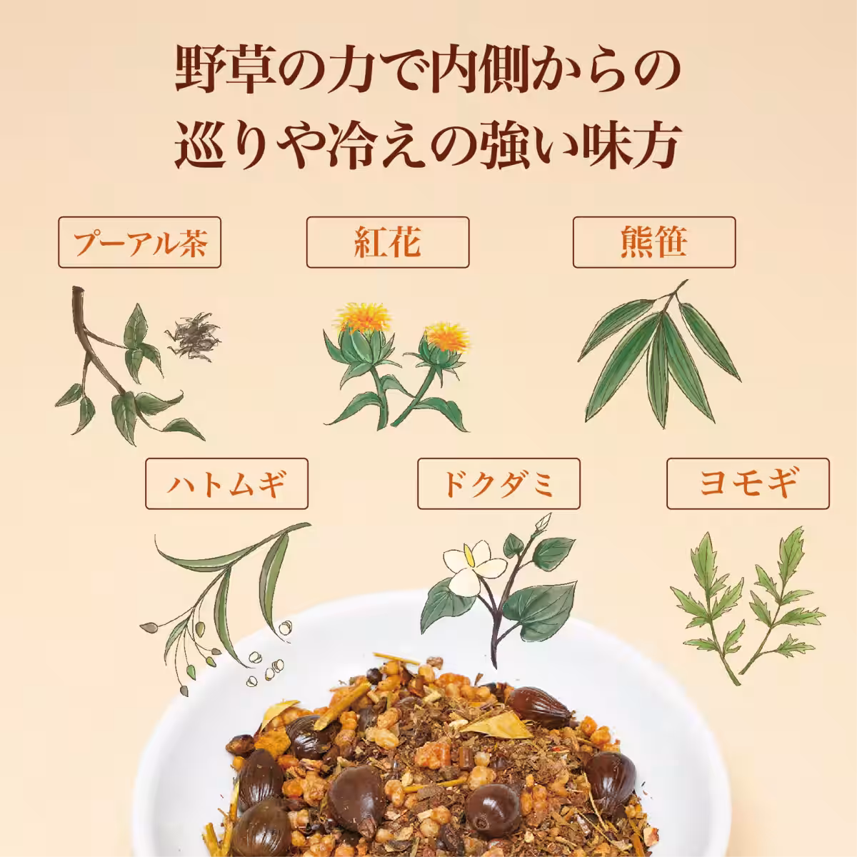 画像10