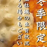 かつ吉生かきフライ