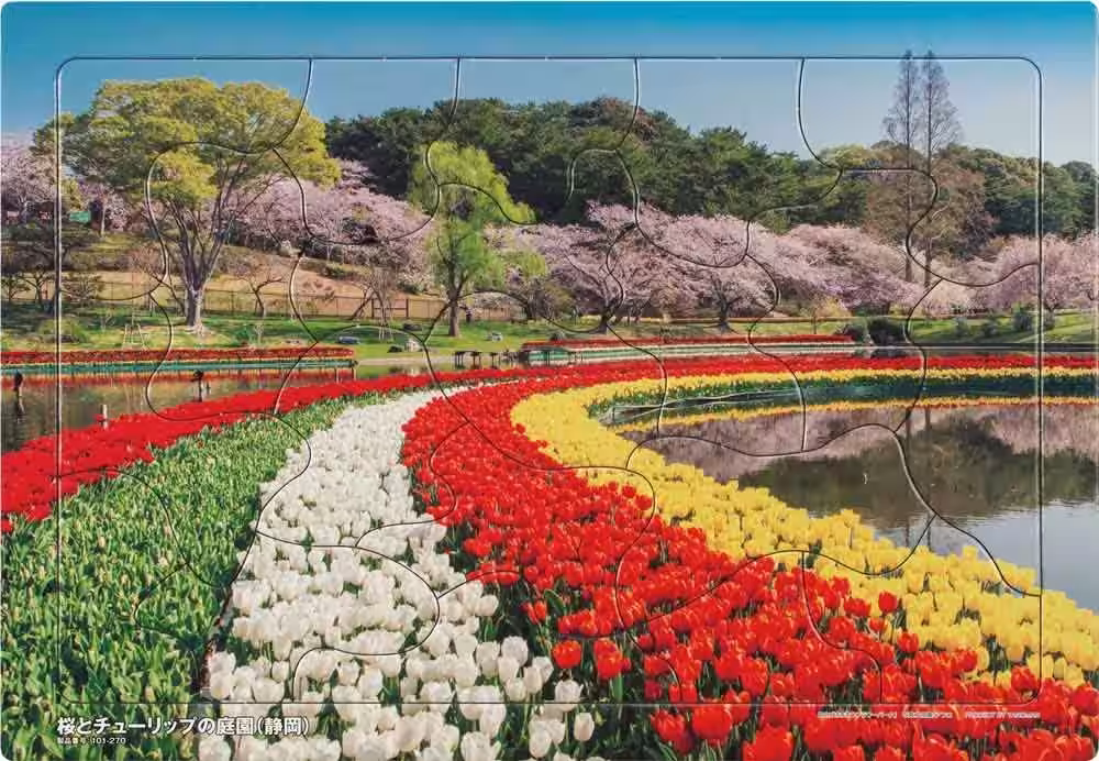 画像8