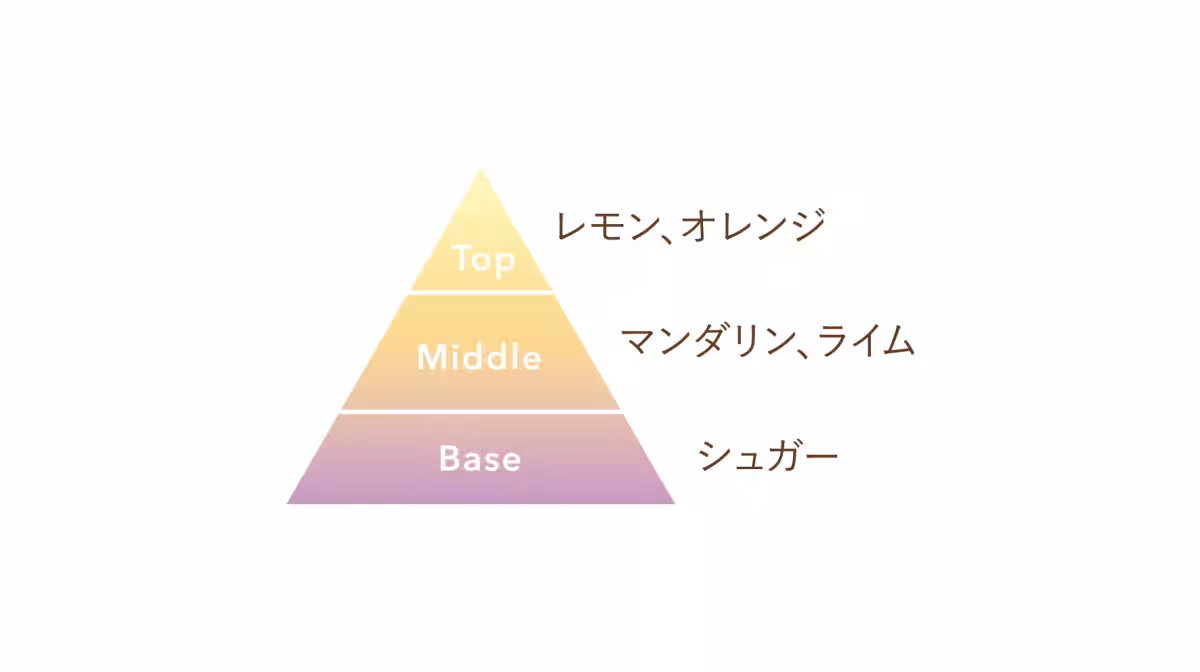 画像11