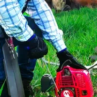 コロンビア法人設立