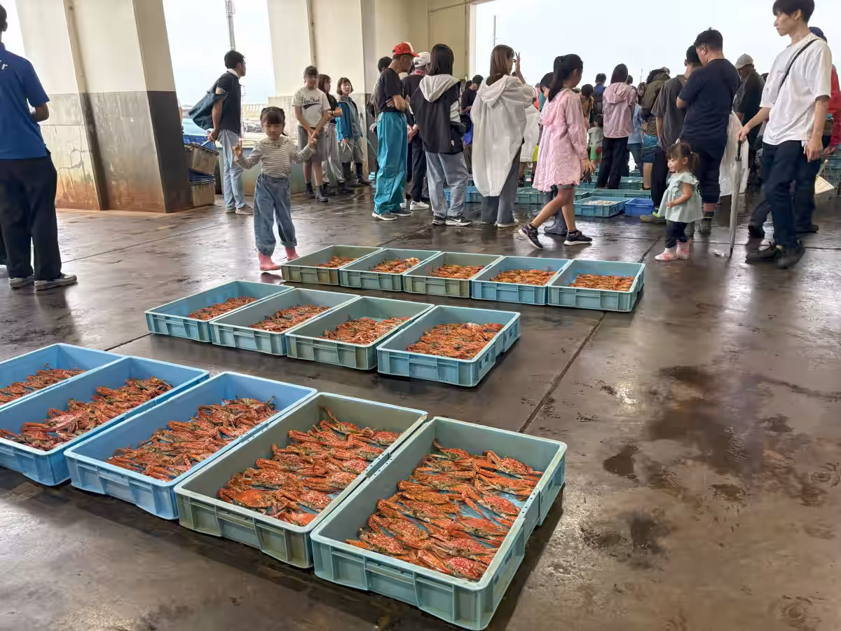 画像13
