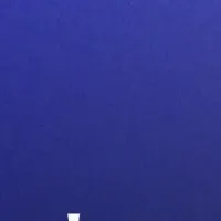 SalesDexの新サイト