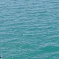 マイクロプラスチック問題