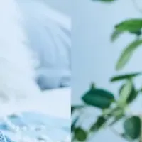 新木さくらのFemiee