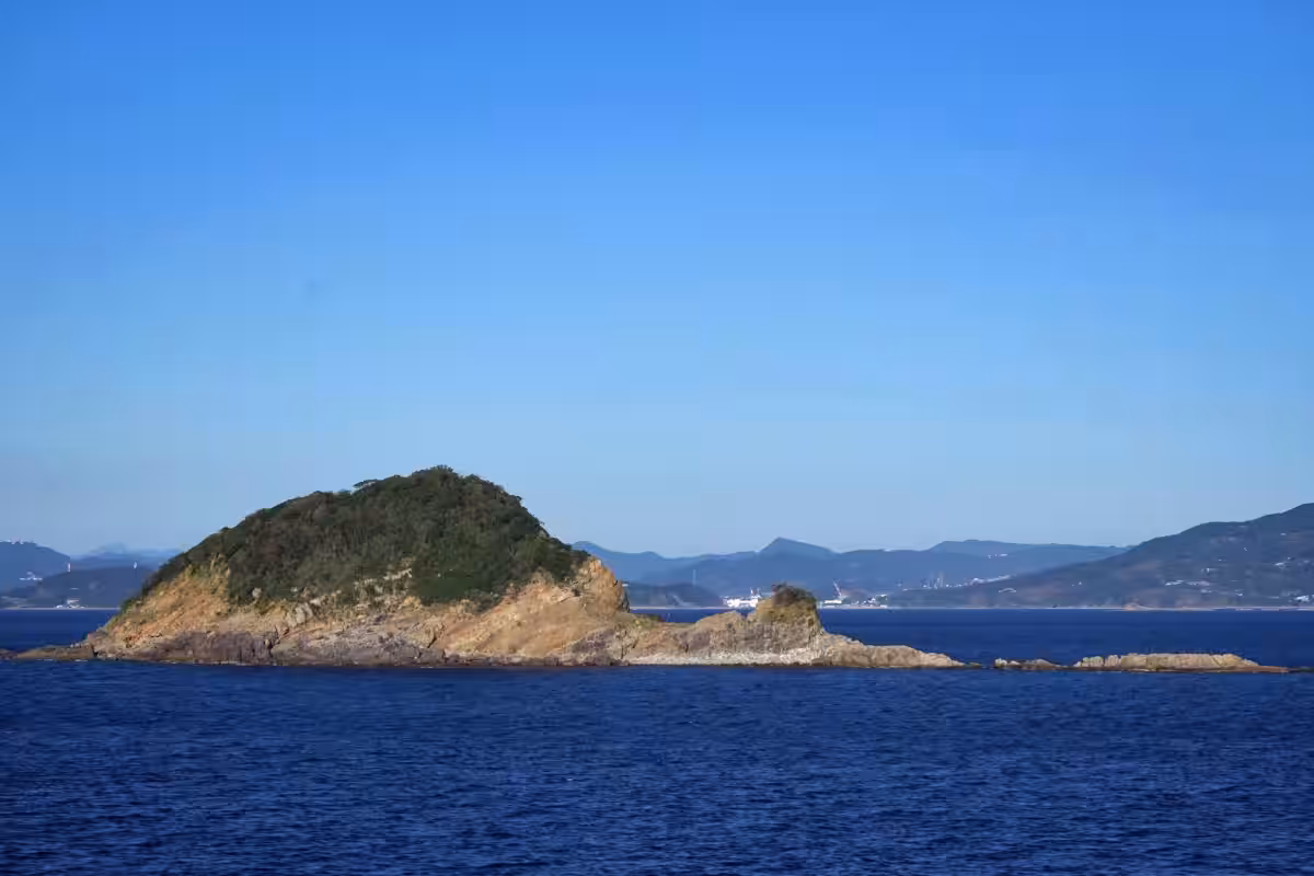 画像8