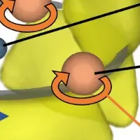 4f電子の新発見