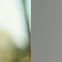 キアヌ・ミエヴェル共著